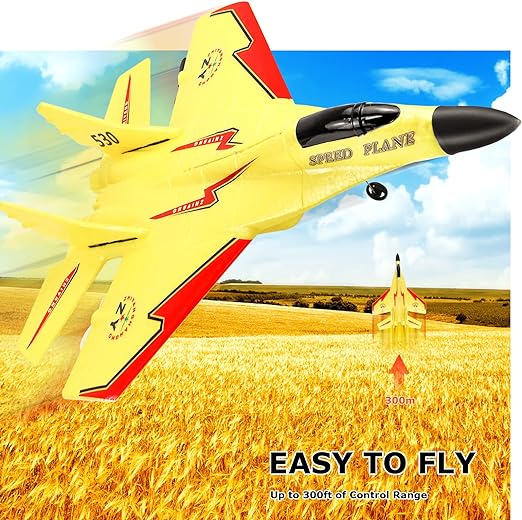 ZY -320 Remote Control Plane Aircraft 2.4G Glider Easy to Fly Remote Control Fighter EPP