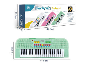Electronic Organ Microphone Toy Piano