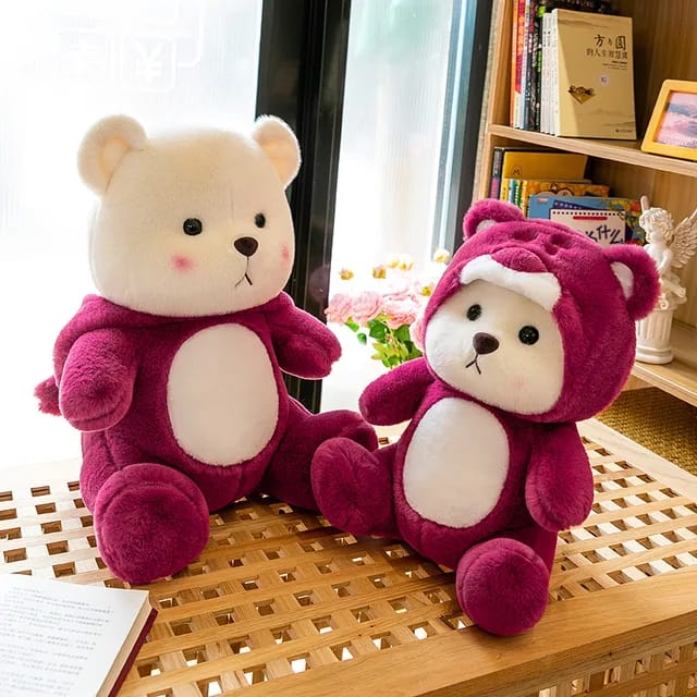 Hoodie Bear  Cute  Colorful  Comfy