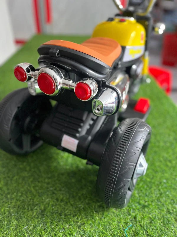 3 Wheel Roadstar Bike