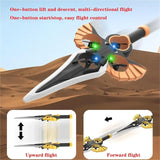 2.4G RC Sword Flying Aircraft Model