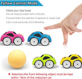 2.4G Electric Mini Remote & Induction Controlled Car