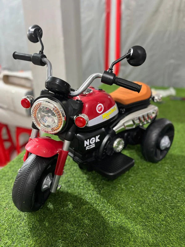 3 Wheel Roadstar Bike