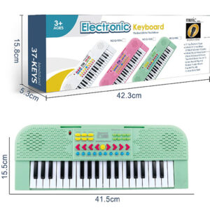 Electronic Organ Microphone Toy Piano